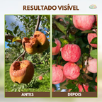 Ativador de Solo Yegbong™ 🔥Promoção por Tempo Limitado🔥