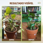 Ativador de Solo Yegbong™ 🔥Promoção por Tempo Limitado🔥