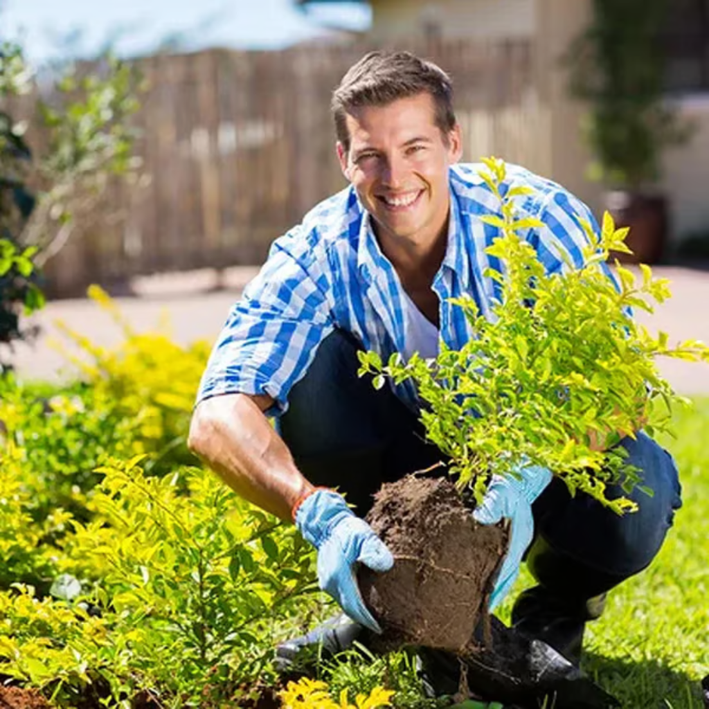 Ativador de Solo Yegbong™ 🔥Promoção por Tempo Limitado🔥